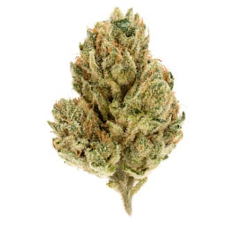 Granddaddy Purple